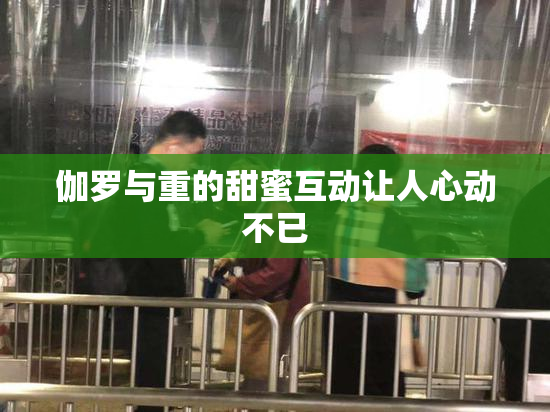 伽罗与重的甜蜜互动让人心动不已