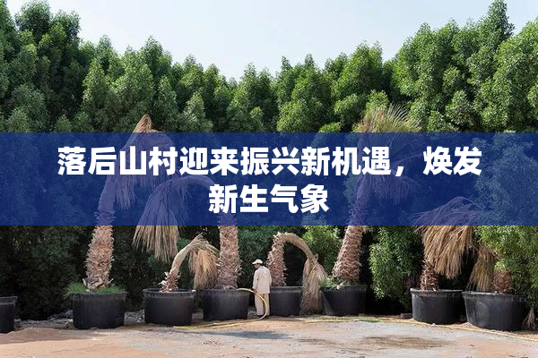 落后山村迎来振兴新机遇，焕发新生气象