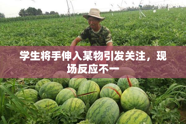 学生将手伸入某物引发关注，现场反应不一