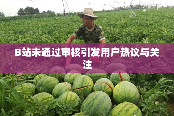 B站未通过审核引发用户热议与关注