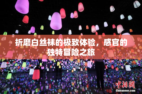 折磨白丝袜的极致体验，感官的独特冒险之旅