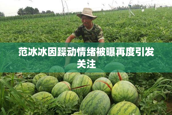 范冰冰因躁动情绪被曝再度引发关注