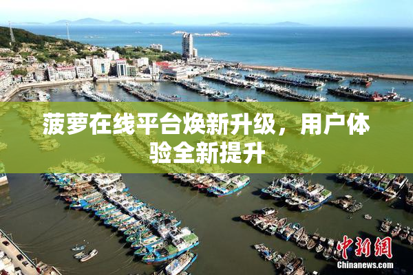 菠萝在线平台焕新升级，用户体验全新提升