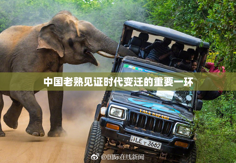 中国老熟见证时代变迁的重要一环