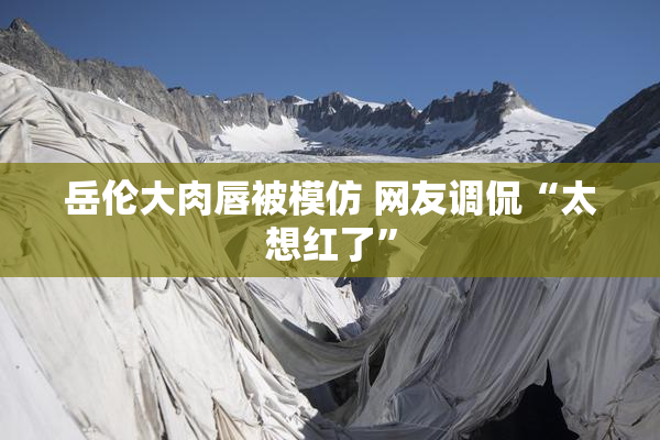 岳伦大肉唇被模仿 网友调侃“太想红了”