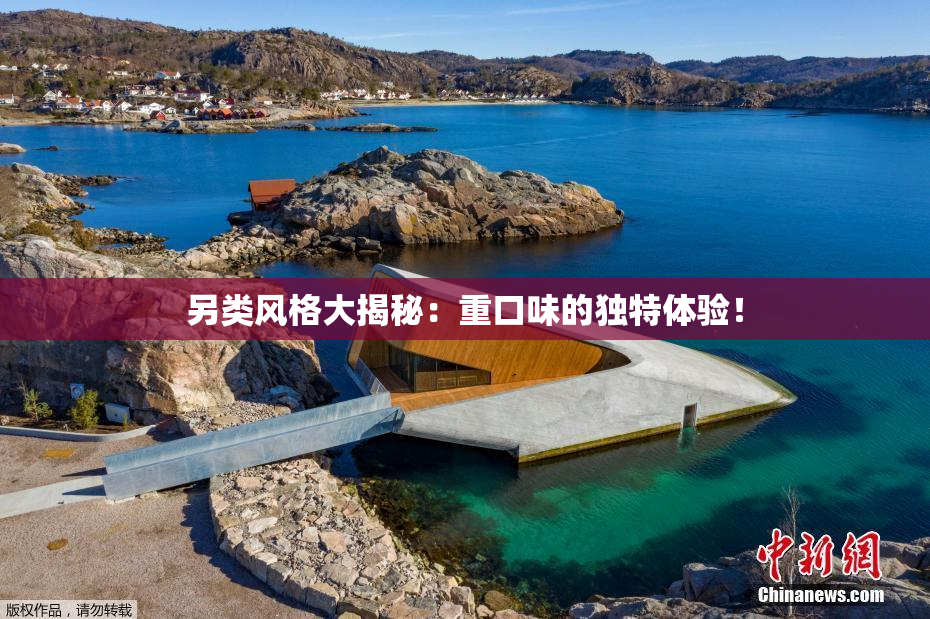 另类风格大揭秘：重口味的独特体验！