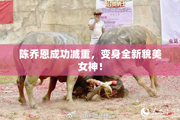 陈乔恩成功减重，变身全新貌美女神！