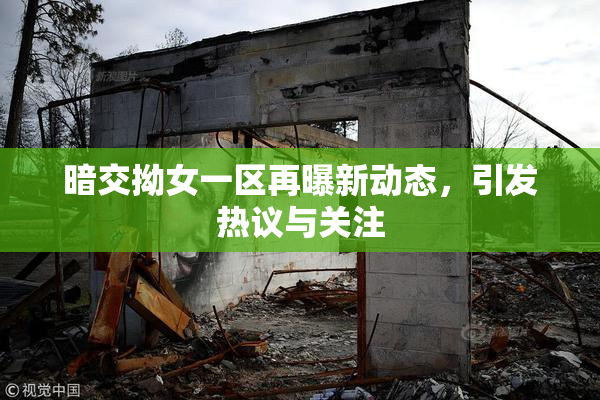 暗交拗女一区再曝新动态，引发热议与关注