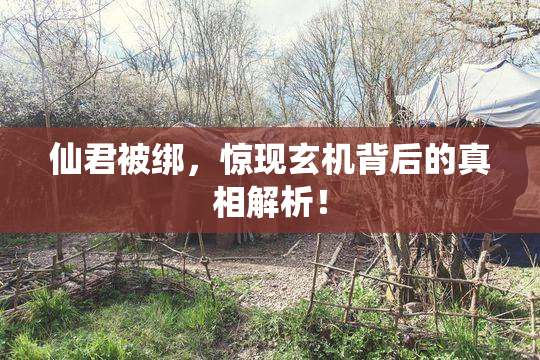 仙君被绑，惊现玄机背后的真相解析！
