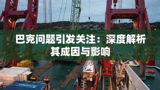 巴克问题引发关注：深度解析其成因与影响
