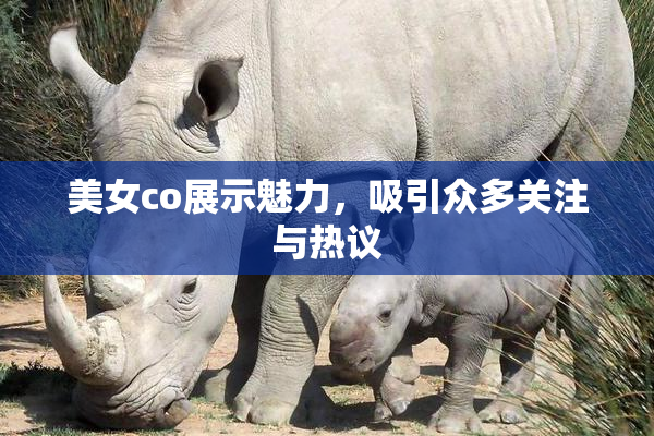 美女co展示魅力，吸引众多关注与热议