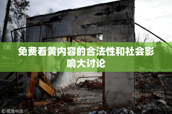 免费看黄内容的合法性和社会影响大讨论