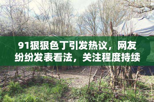 91狠狠色丁引发热议，网友纷纷发表看法，关注程度持续上升