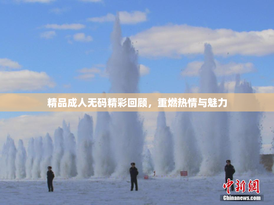 精品成人无码精彩回顾，重燃热情与魅力