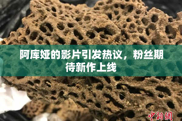 阿库娅的影片引发热议，粉丝期待新作上线