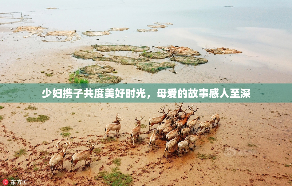 少妇携子共度美好时光，母爱的故事感人至深