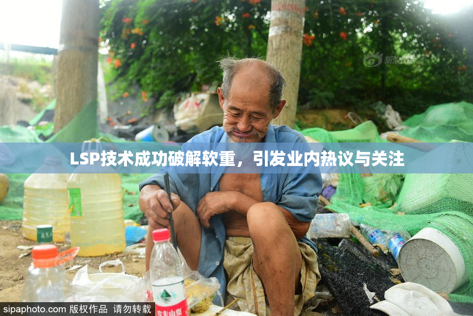 LSP技术成功破解软重，引发业内热议与关注