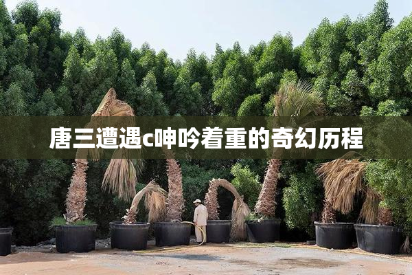 唐三遭遇c呻吟着重的奇幻历程