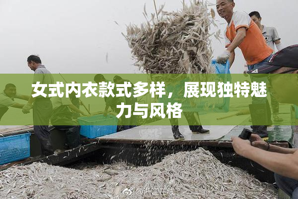 女式内衣款式多样，展现独特魅力与风格