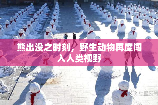 熊出没之时刻，野生动物再度闯入人类视野