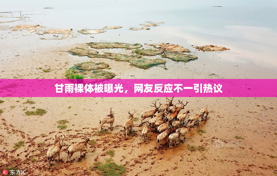 甘雨裸体被曝光，网友反应不一引热议