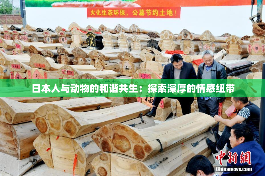 日本人与动物的和谐共生：探索深厚的情感纽带