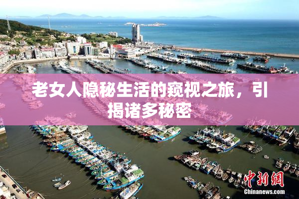 老女人隐秘生活的窥视之旅，引揭诸多秘密