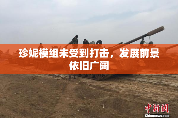 珍妮模组未受到打击，发展前景依旧广阔
