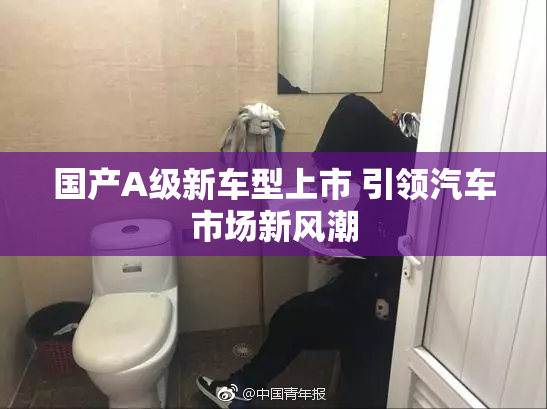 国产A级新车型上市 引领汽车市场新风潮