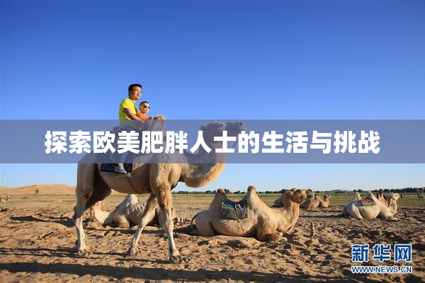 探索欧美肥胖人士的生活与挑战