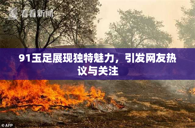 91玉足展现独特魅力，引发网友热议与关注