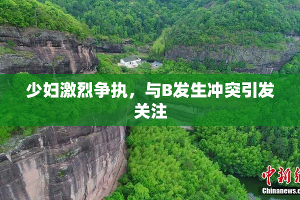 少妇激烈争执，与B发生冲突引发关注