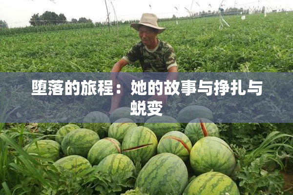 堕落的旅程：她的故事与挣扎与蜕变