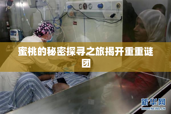 蜜桃的秘密探寻之旅揭开重重谜团
