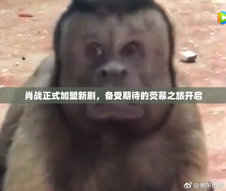 肖战正式加盟新剧，备受期待的荧幕之旅开启