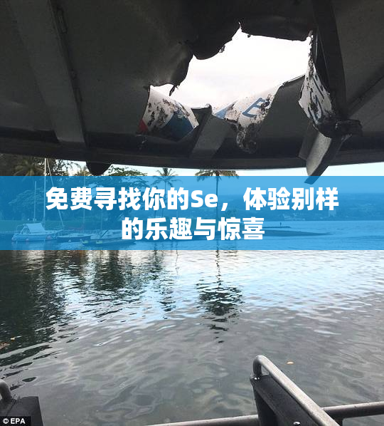 免费寻找你的Se，体验别样的乐趣与惊喜
