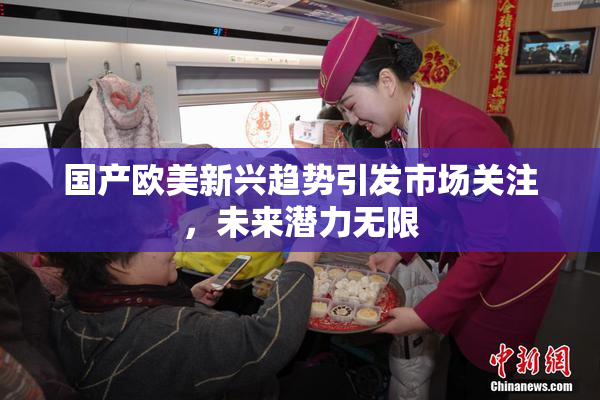 国产欧美新兴趋势引发市场关注，未来潜力无限