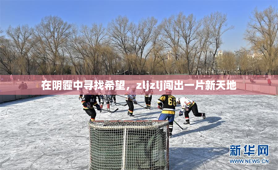 在阴霾中寻找希望，zljzlj闯出一片新天地