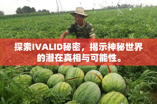 探索IVALID秘密，揭示神秘世界的潜在真相与可能性。