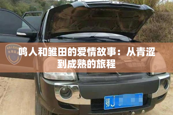 鸣人和雏田的爱情故事：从青涩到成熟的旅程