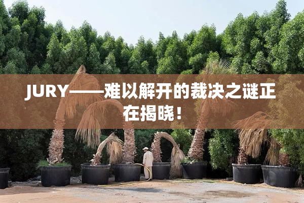 JURY——难以解开的裁决之谜正在揭晓！