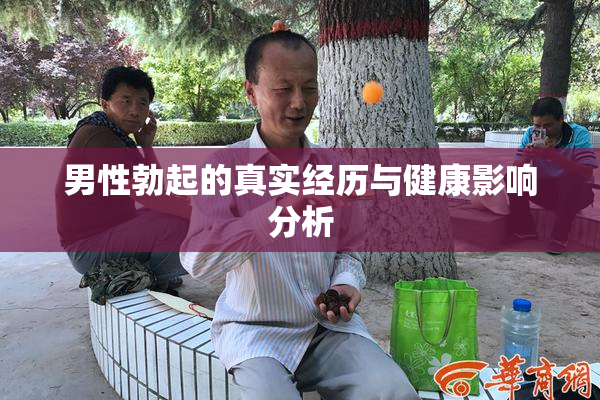 男性勃起的真实经历与健康影响分析