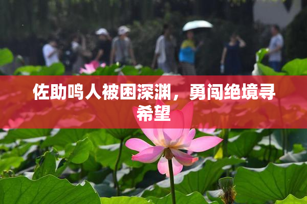 佐助鸣人被困深渊，勇闯绝境寻希望