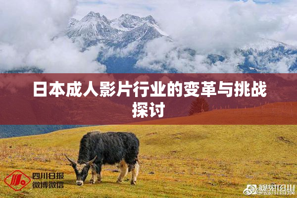 日本成人影片行业的变革与挑战探讨