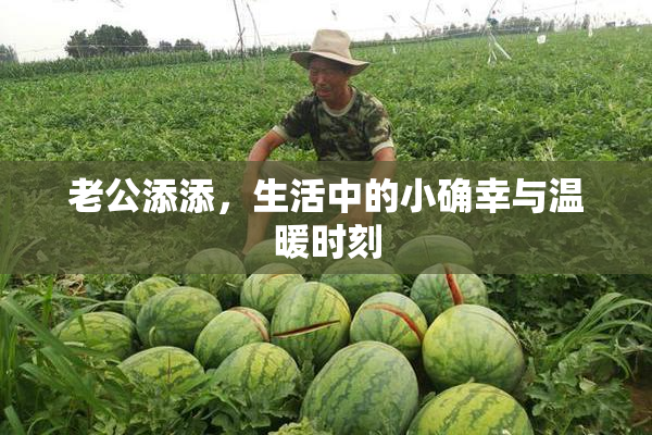老公添添，生活中的小确幸与温暖时刻