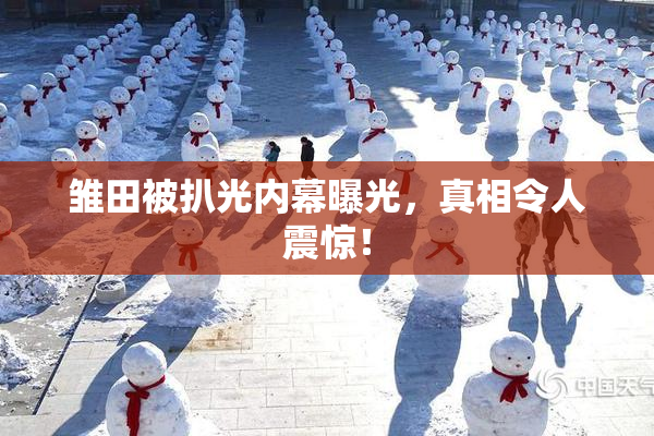 雏田被扒光内幕曝光，真相令人震惊！