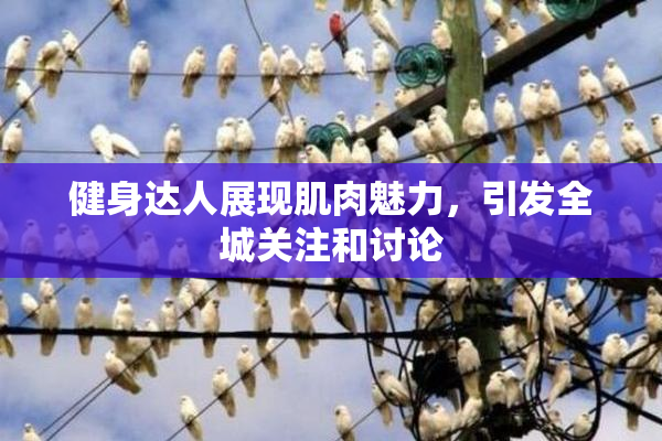 健身达人展现肌肉魅力，引发全城关注和讨论