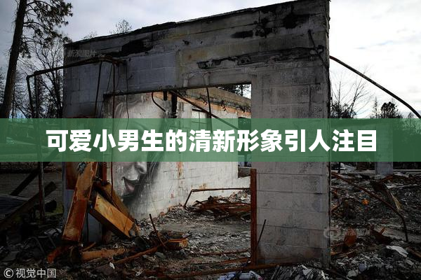 可爱小男生的清新形象引人注目