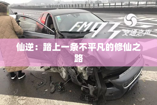 仙逆：踏上一条不平凡的修仙之路