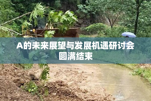 A的未来展望与发展机遇研讨会圆满结束